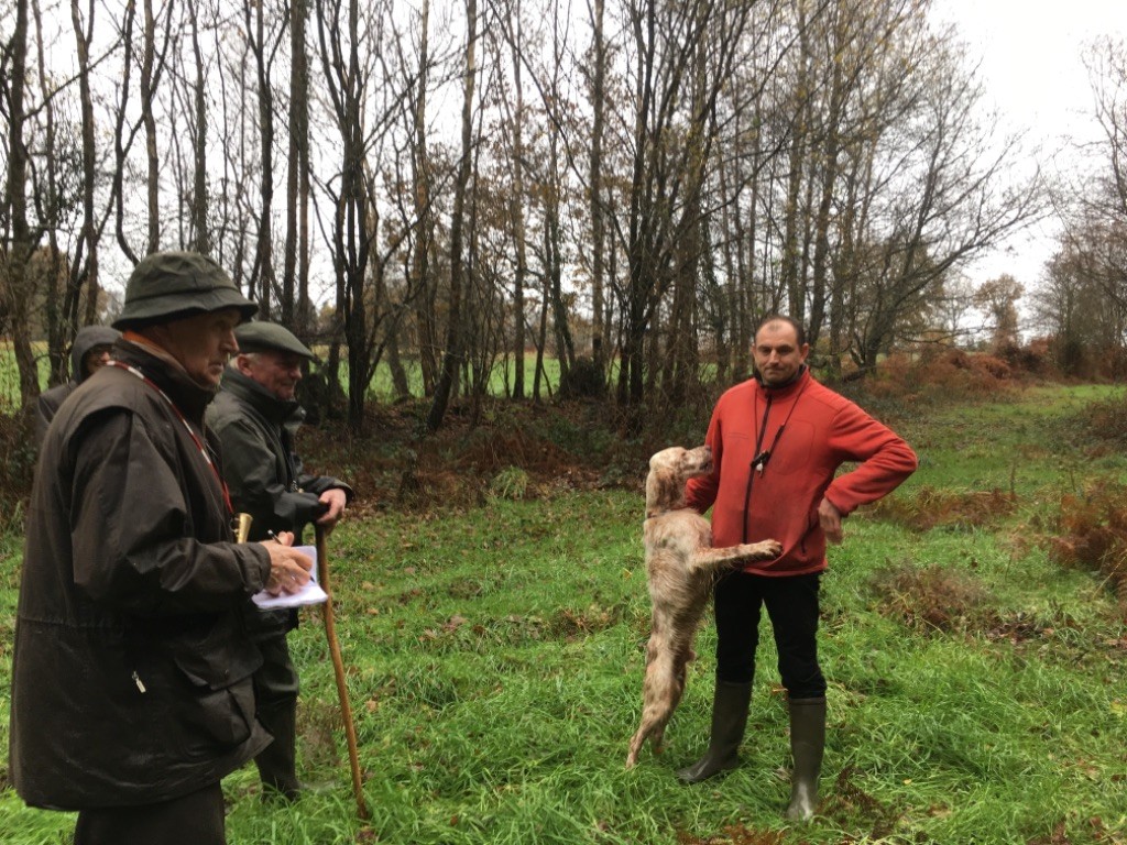 des sagnes des mille sources - Classements actualisés Fields Bécasse.