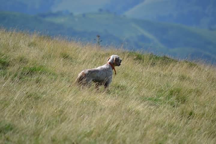 des sagnes des mille sources - Concours Montagne Suisse