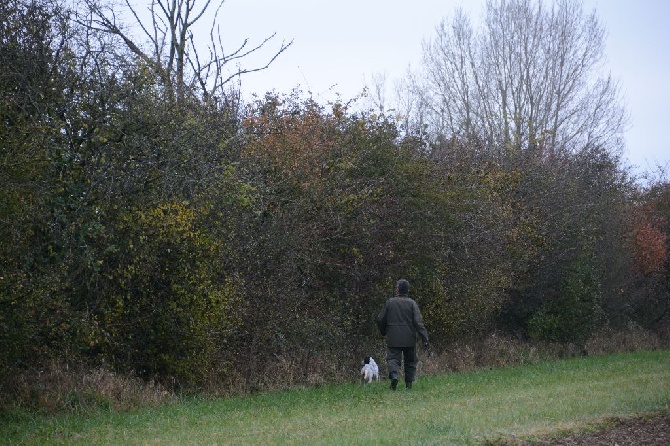 des sagnes des mille sources - circuit gibier naturel faisan