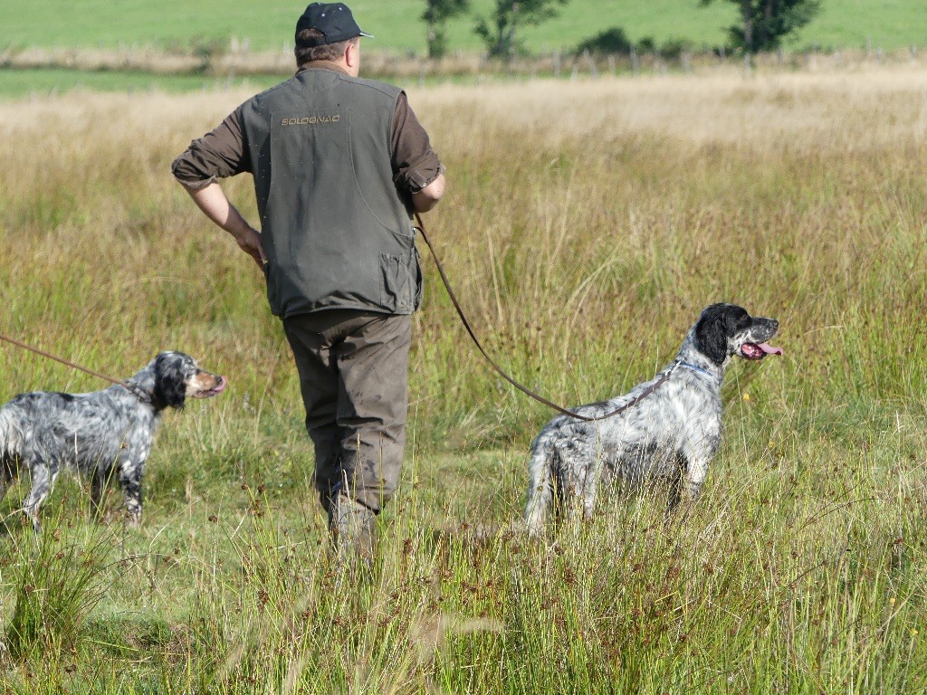 des sagnes des mille sources - Field bécassines Lascols