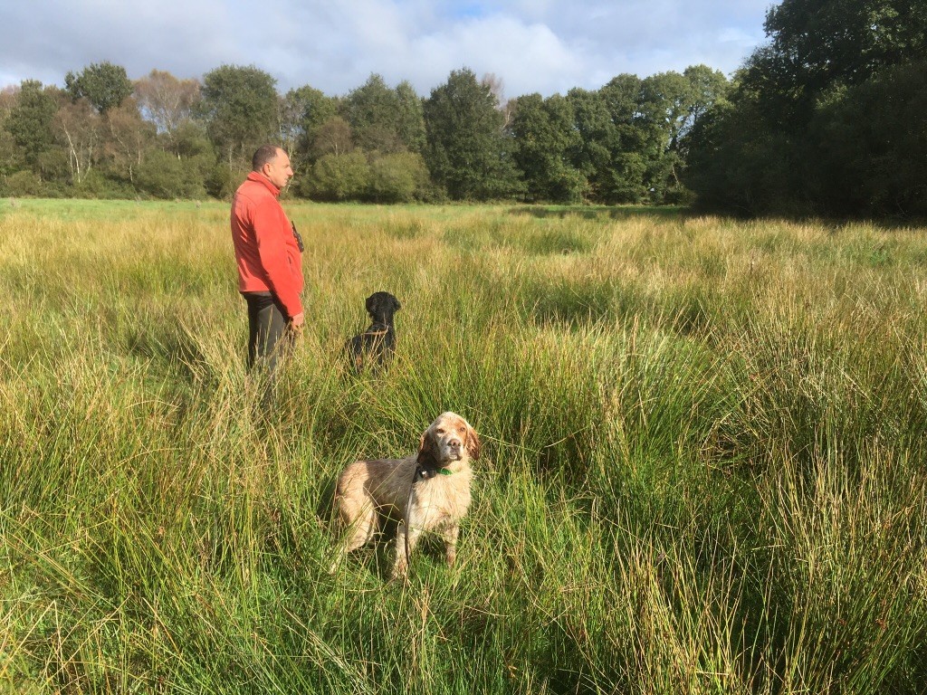 des sagnes des mille sources - Entraînement et fields bécasse