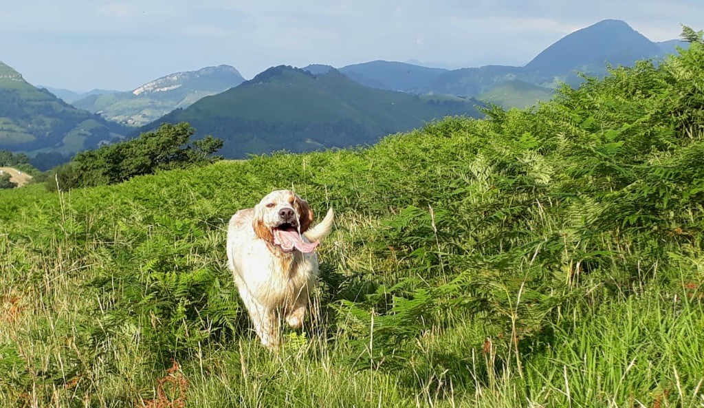 des sagnes des mille sources - Préparation concours Montagne.....