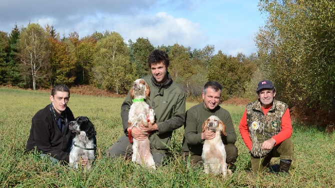 des sagnes des mille sources - field bécasse Vassivière 