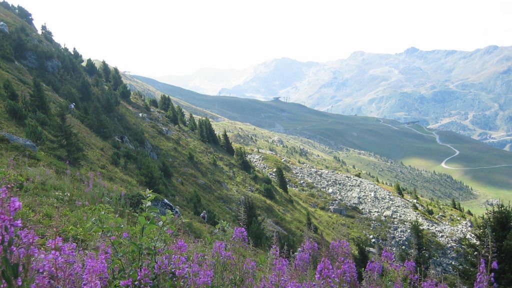 des sagnes des mille sources - Montagne (tétras lyre), circuit français