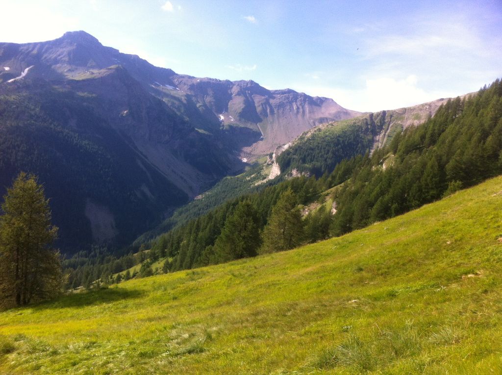 des sagnes des mille sources - de la montagne.... à la bécasse....