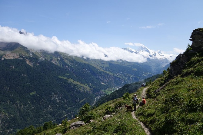 des sagnes des mille sources - concours tétras lyre Suisse