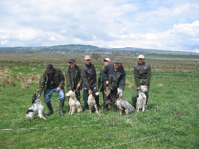 des sagnes des mille sources - Lascols 2012 bécassines