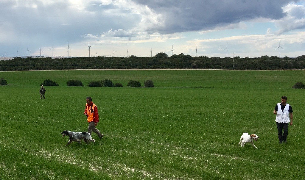 des sagnes des mille sources - Concours Jerez Espagne