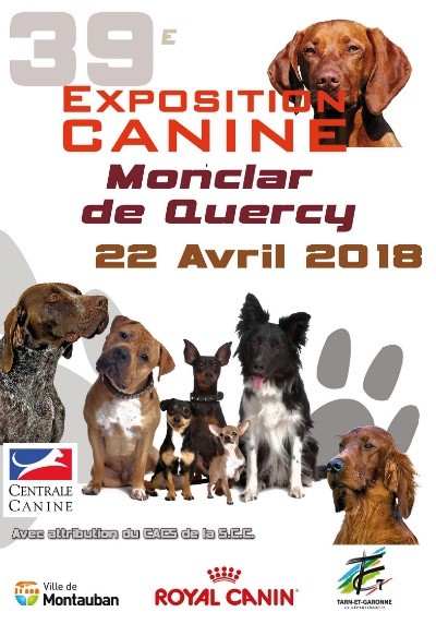 des sagnes des mille sources - Exposition canine Monclar de Quercy