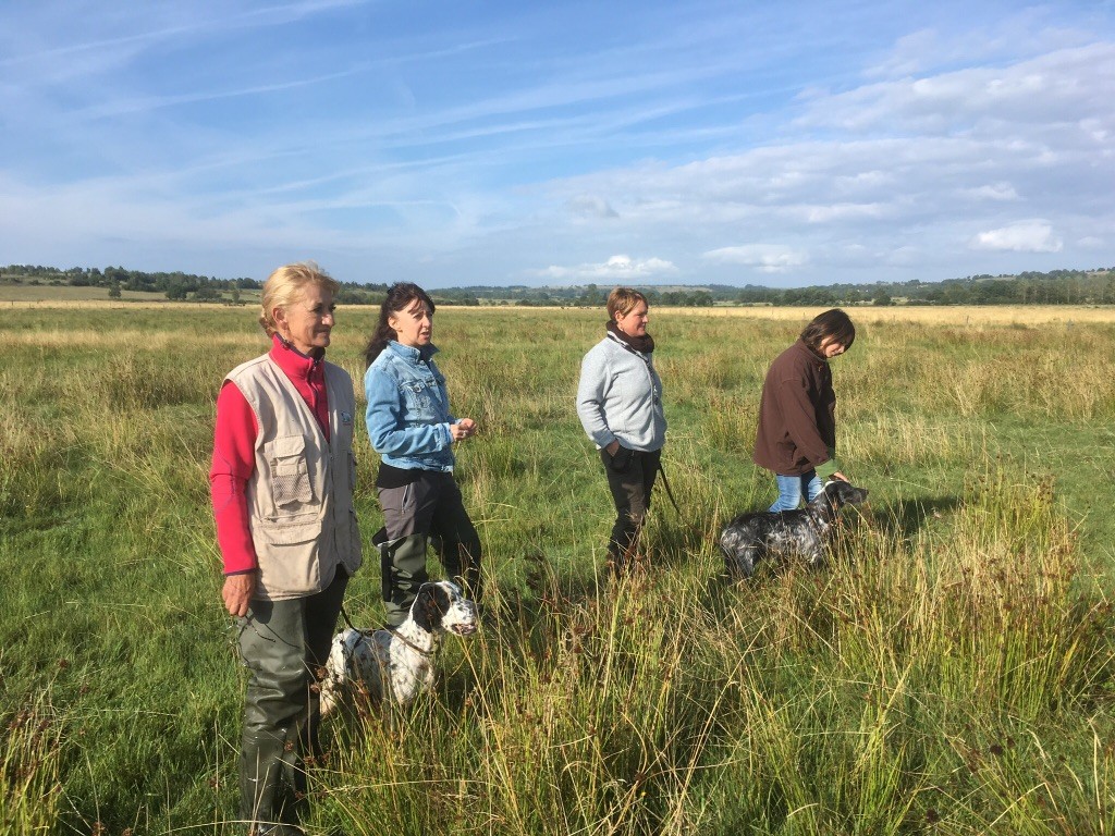 des sagnes des mille sources - Field bécassine Lascols