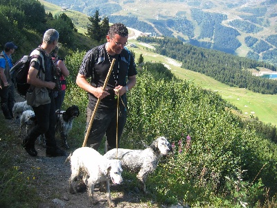 des sagnes des mille sources - Montagne Concours français 2013 